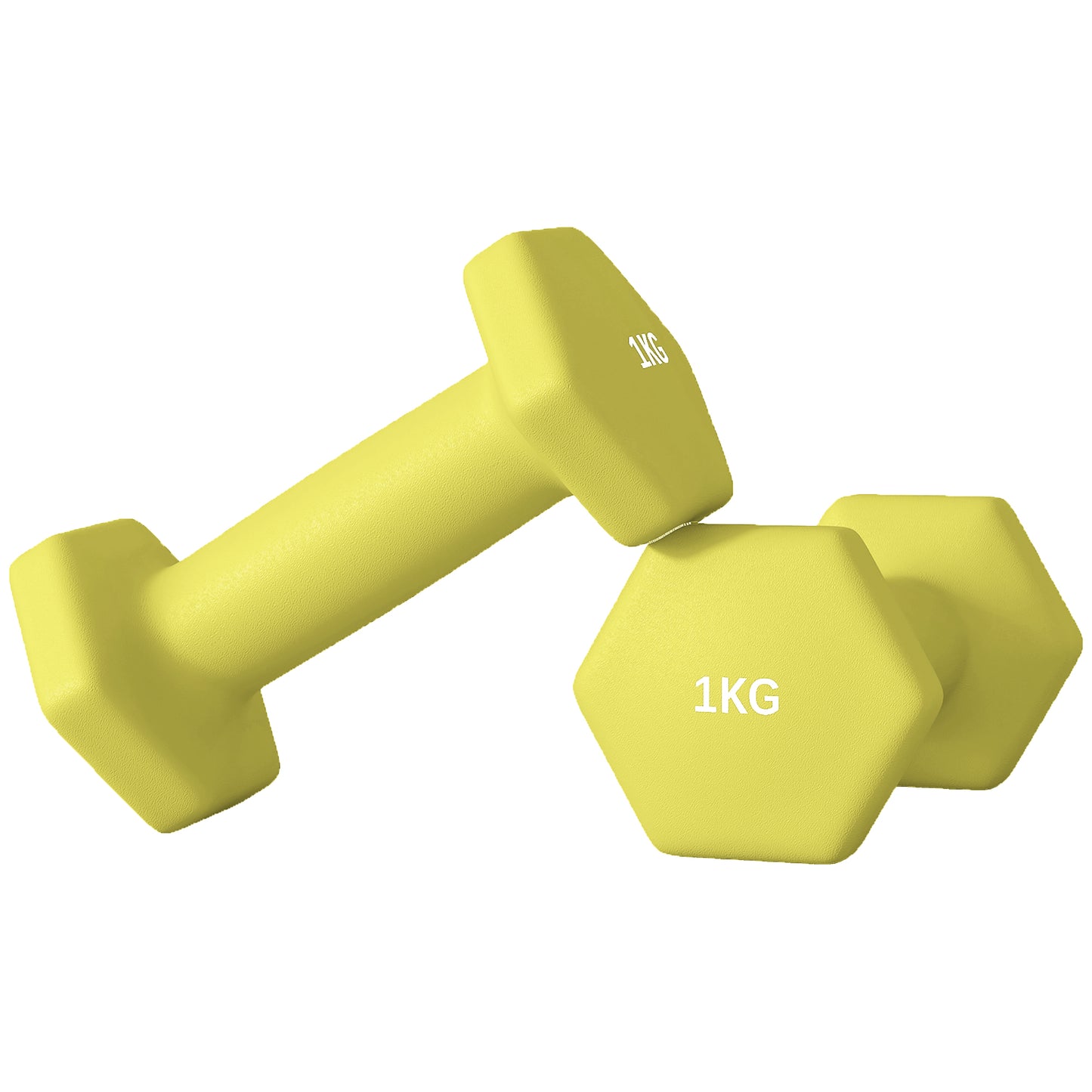 Dumbbells, Non-Roll Hexagonal Weights