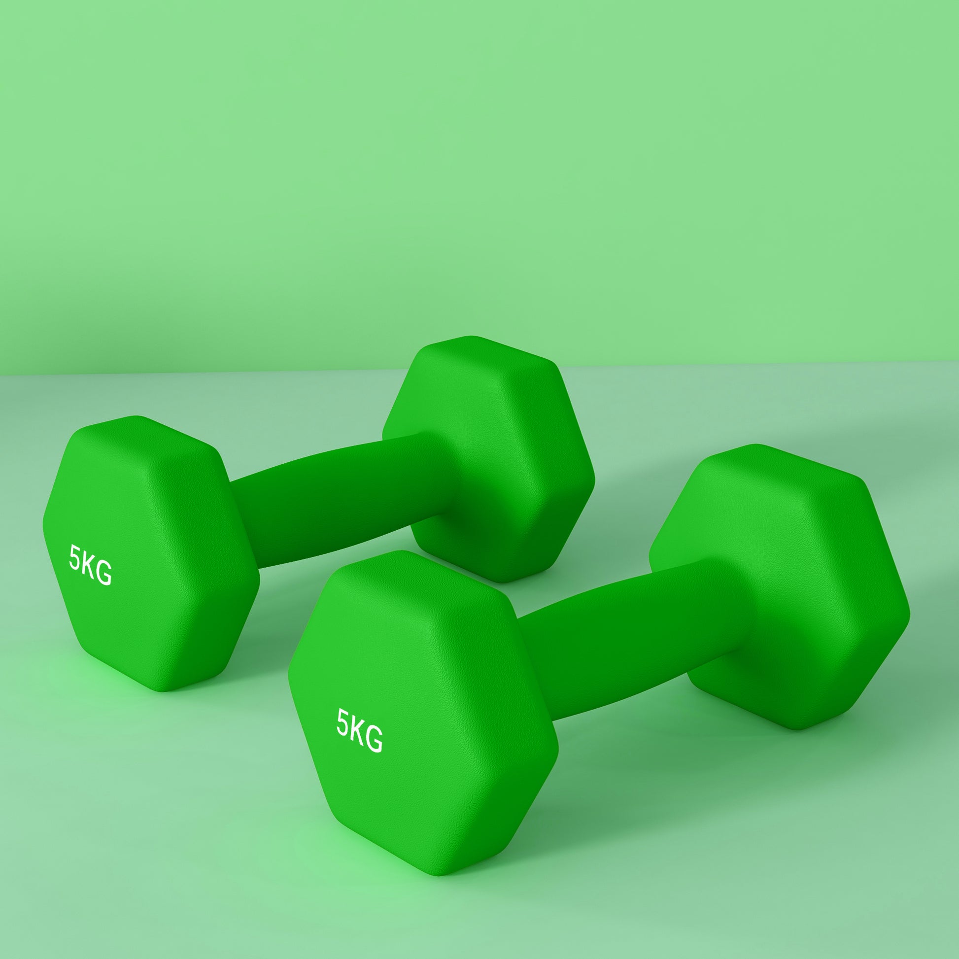 Dumbbells, Non-Roll Hexagonal Weights