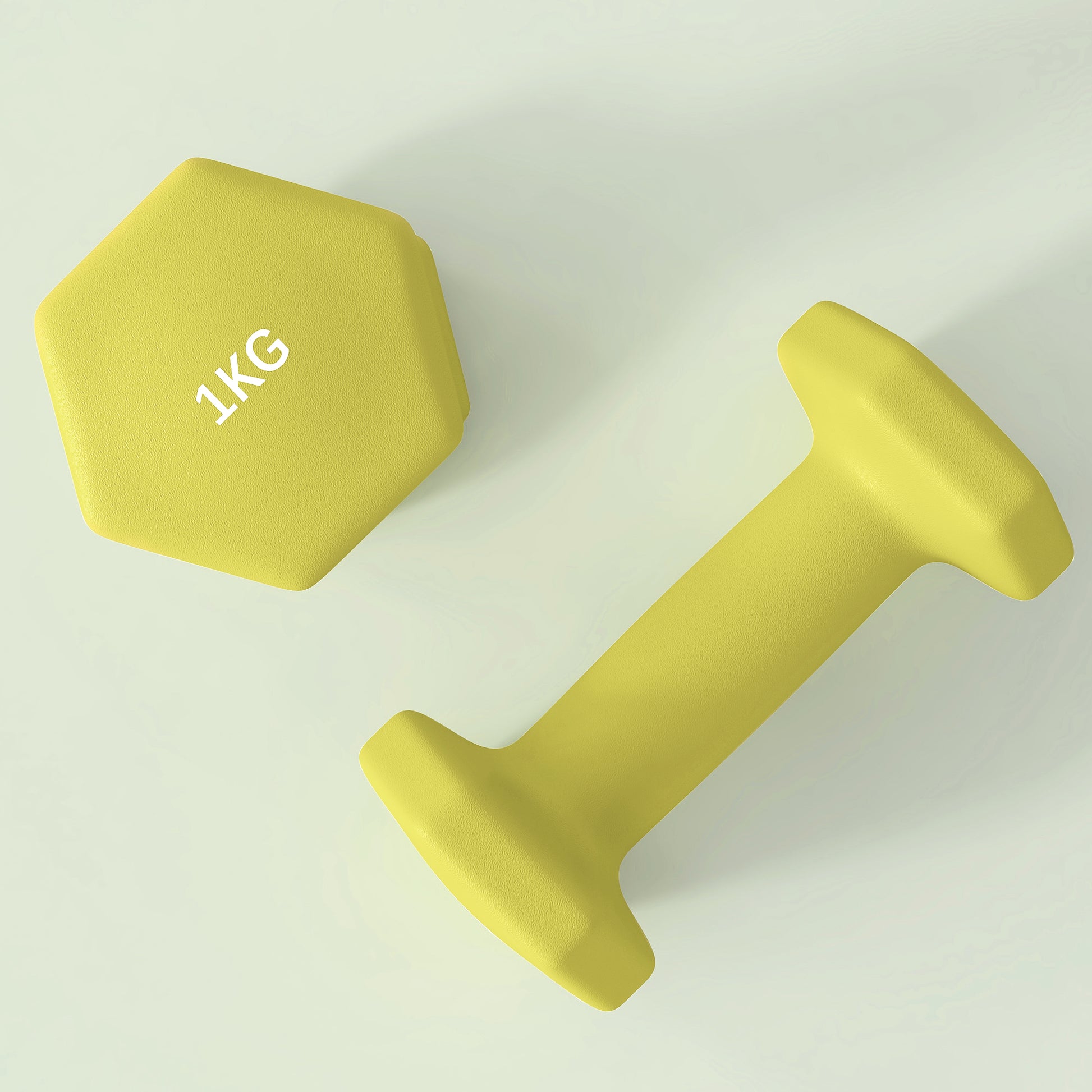 Dumbbells, Non-Roll Hexagonal Weights