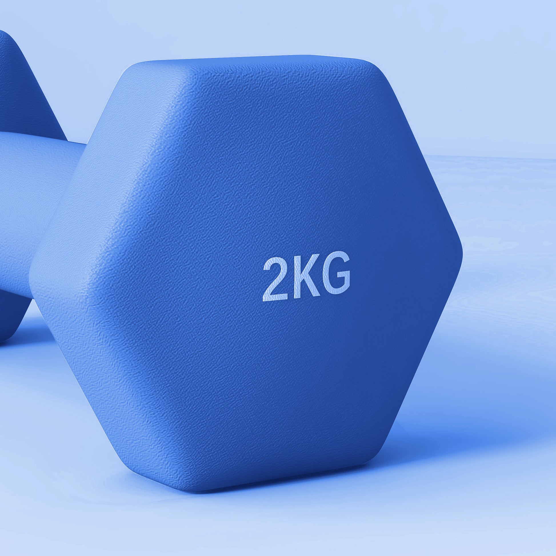 Dumbbells, Non-Roll Hexagonal Weights